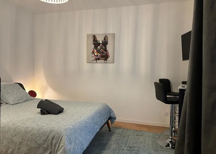 Les De Clement Apartmán Poitiers